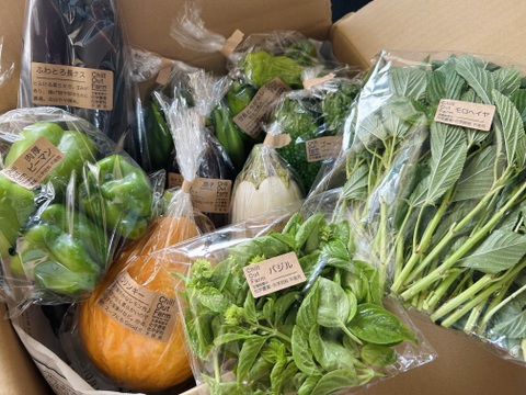 【贈り物にも！】菊芋入り/彩り豊かな野菜の秋冬野菜10種類前後/めずらしい野菜も入ってるかも？【農薬・化学肥料不使用】