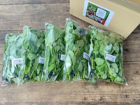 ☆有機JAS認証☆ホーリーバジル　1㎏