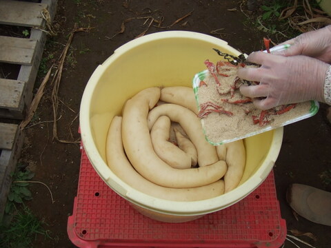 たくあん用干し大根20本