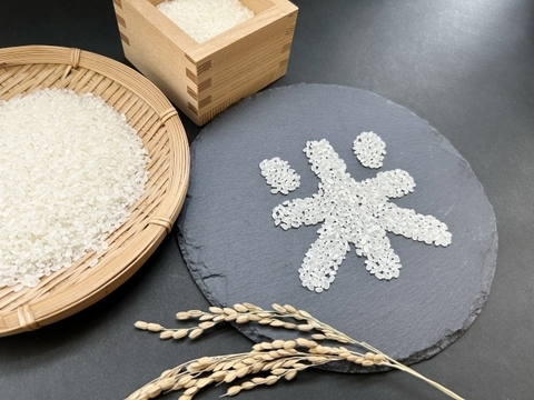 【県知事賞受賞】有馬温泉の麓産 新米コシヒカリ(白米)5kg ホタルの生息する場所です🏞️ 兵庫県産コシヒカリ《9月末頃〜発送🚛³₃》【令和7年新米】