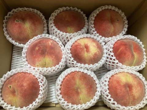 白根白桃（9月中旬お届け）【わけあり家庭用 3kg】ジュワッと果汁溢れる！白桃