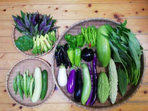 【農薬・化学肥料不使用】花オクラ入り野菜セット【６～８種類の野菜】【食べ方説明書付き】【金曜日クール便で発送】【あわせ買い可】【熨斗(のし)対応可】【８０サイズ箱】