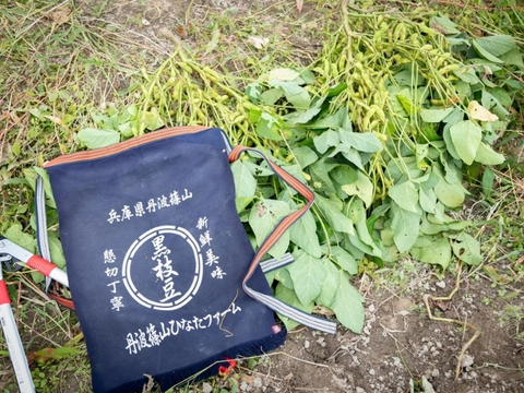 【予約】１０月上旬発送 黒豆の本場 丹波篠山黒枝豆1kg
