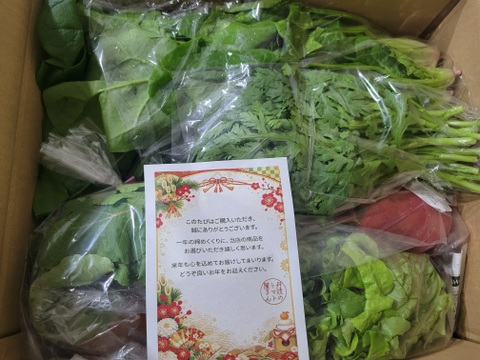 26日～28日発送‼️今年最後のお野菜セット‼️白菜入