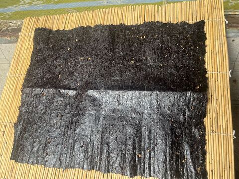 【今が旬】佐井村産天然岩のり　大判(４８㎝×３８㎝)　１枚入