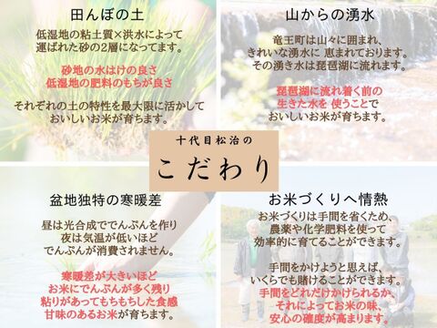 令和6年産新米【無洗米10kg】特別栽培米！1750年から続くお米農家が作ったコシヒカリ『縁起の竜王米』　滋賀県竜王町産 お米