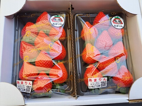 埼玉いちご「あまりん」270g×2p：埼玉県産のあまりん｜食べチョク