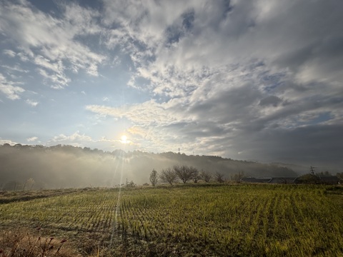 農薬不使用！お米（玄米）ご家庭用5kg