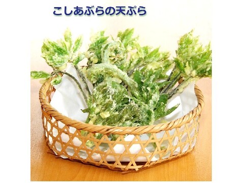 【茶柱様専用商品】採れたて山菜天然こしあぶら 300g 天ぷら・混ぜごはん等で