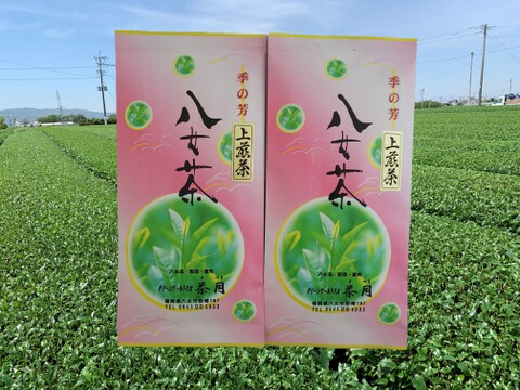 【国産】緑茶 八女茶 上煎茶100g【2袋】