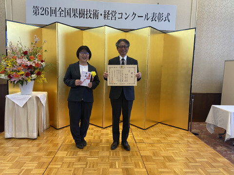 【1箱】贈答用5房前後◎山形県産完熟ぶどう種なしデラウェア