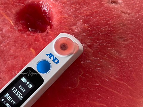 羅皇ザ・スウィート ７kg まえだの初夏すいか 定番の赤い大玉 シャリ感強めの甘いすいか