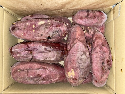 【冷凍】茂賀屋の焼き芋2㎏＋α