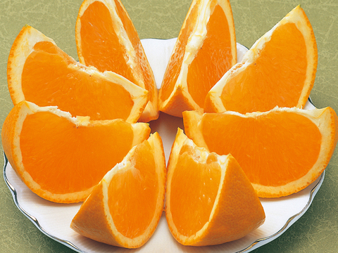 【豊作につきセール】産地直送・わけあり清見タンゴール(10㎏ )　ご自宅用　愛媛県産