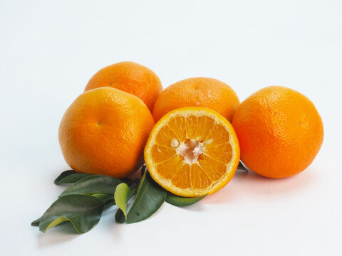 【ご注文受付中】伊予柑(いよかん)【家庭用(訳あり)】2.5kg 314-2h