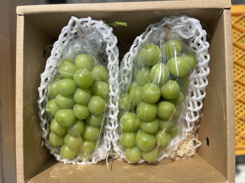 シャインマスカット（贈答用　700g 2房）