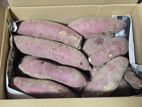 手間暇かけました【紅はるか】　サツマイモ　5kg弱 栽培期間中農薬不使用
