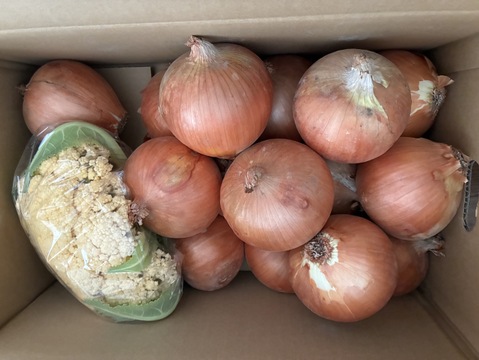 玉ねぎ4kg🅱️🧅淡路島極熟玉葱　シャーロットオニオン　玉ねぎ大国淡路島からのたまねぎ
