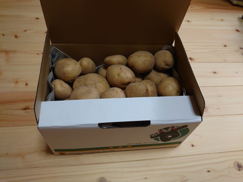旬の春植え新鮮ジャガイモ(ニシユタカ)L,M玉5kg期間限定商品