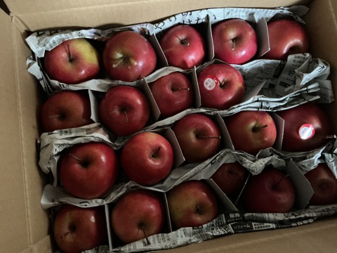 【超希少品種！】中まで赤～い赤果肉りんご「栄紅」外見だけ「う～ん残念…！」なキズあり（３kg）