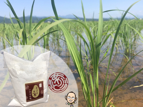 【米粉】超高級米いのちの壱100% (800g×1袋)