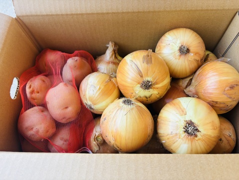 淡路島産🧅🥔セット✨約5kg
『玉ねぎ約4kg』と『新じゃがいも約1kg』📦✨