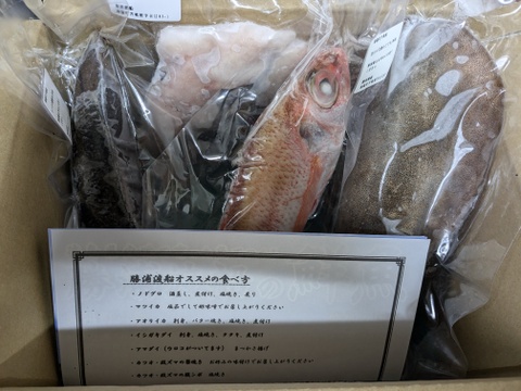 種類豊富！お試し品‼️旬の鮮魚BOX！4〜5種類【冷凍】