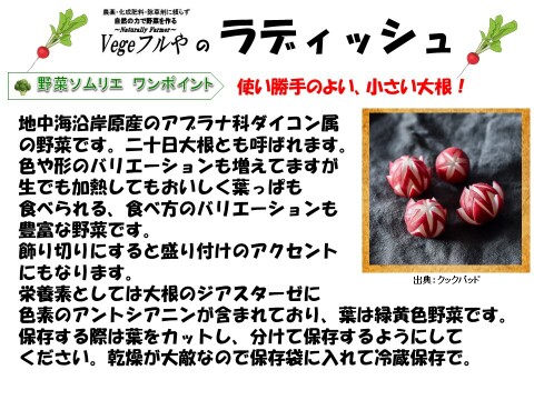 農薬未使用！旬の採れたて新鮮野菜おまかせ小セット（５～７品目）