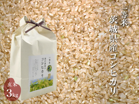 令和4年 噛めば噛むほど旨味がでてくる茨城県産コシヒカリ 玄米【一等米】【3kg】