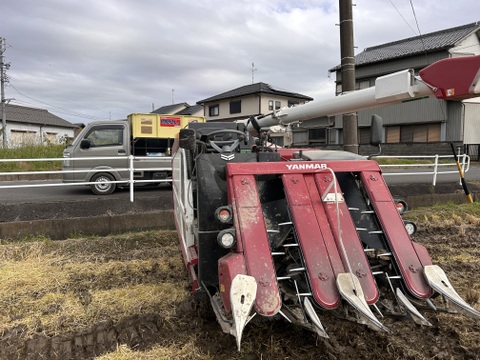 自家生産でこだわりあり！岐阜 ハツシモ　令和7年産  30キロ　玄米🌾