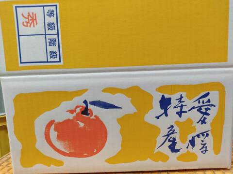 希少品種　ちょっと大きいはれひめ　家庭用　箱込み 9キロ