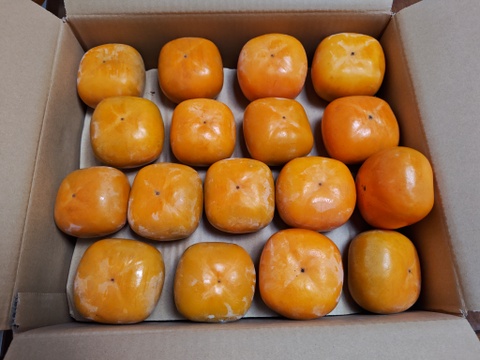 【福袋2025】和歌山県産　たね無し柿(刀根早生)　A品L～2Lサイズ7.5kg(28個入り)　【500円割引】