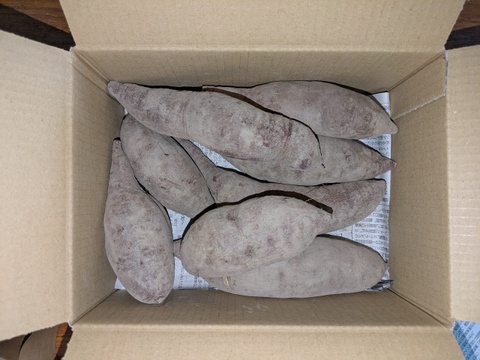 【季節限定】鮮やかな紫色　紫芋（あやむらさき）1.9kg