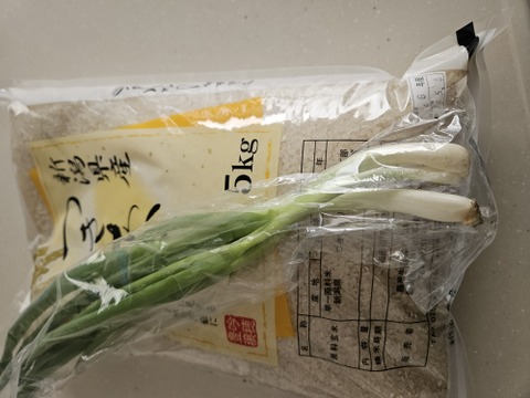 新潟県産　お米 つきあかり  5キロ  白米  令和6年産　お米　(62)