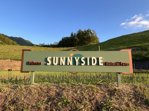 【R7年産】生活排水なしの一番水　自然栽培窪野米イセヒカリ5㎏【玄米】