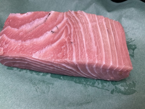 【マグロの王様】天然本マグロ/トロと赤身セット/境港産/470ｇ【冷凍】【原体100kg】