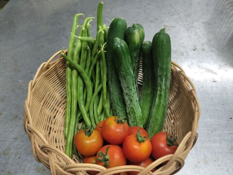 イワンファームの固定種野菜セット 栽培期間中農薬化学肥料不使用　お試し用ミニサイズ