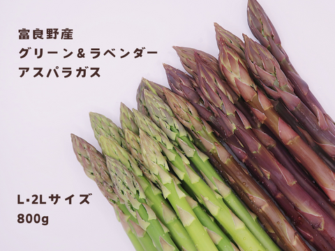 【食べ比べ】富良野産グリーン&ラベンダーアスパラガス（L・2L  800g）