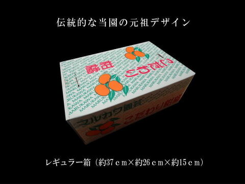 まったりしたコクと頑固な甘さ！マルチ栽培と寒さで甘さがグッと増した食べ頃発送！12月18日以降の年内お届け！頑固な甘さの新こたつみかん「石甘太（いしあまた）」　サイズ混合　たっぷり５ｋｇ【526-5】