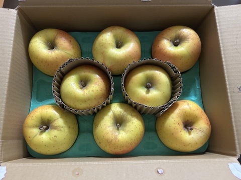 【希少種】【あまみつき】（2kg・6～9個入り）パリ甘・ジューシーお得な家庭用