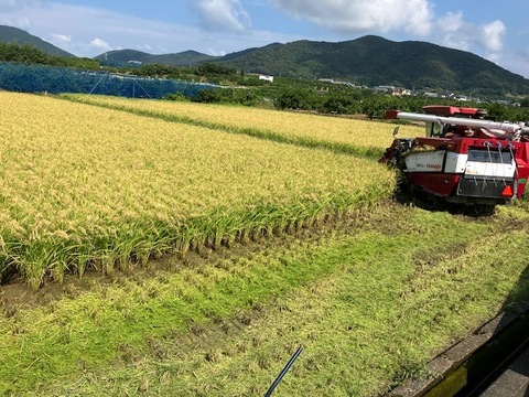 ＝玄米限定＝奥浜名の摩訶耶米(令和7年産）4.5㎏