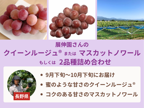 【限定200セット】ぶどう食べ比べ便第３弾※送料込※（食べチョク公式）