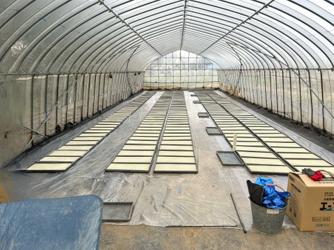 【令和7年産 新米】こしひかり白米10㎏