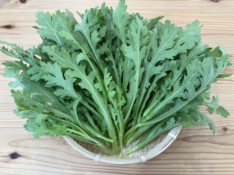 【ミカサ様専用】野菜セット(春菊12パック、ほうれん草12パック)