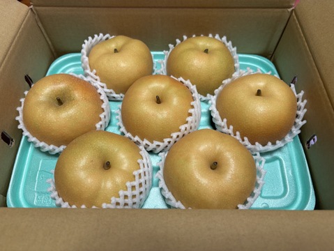 【家庭用】　梨　南水　3kg  長野県産