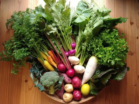 季節の無農薬野菜+選べる無添加ドレッシングセット“2020冬”【6~8品目】60（S）サイズ