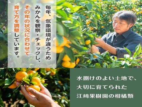 【夏ギフト】贅沢飲み切りタイプ！3種果実ミックスジュース5本セット