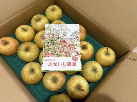 【今月中で販売終了🍏】大好評🍎
大人気樹上完熟サン金星☆　肌はガサガサですが・・約5㌔ 13玉～20玉 ☆玉数おまかせ☆