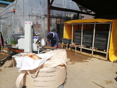 令和7年産　白米5㎏　　　新米予約　品種「つきあかり」