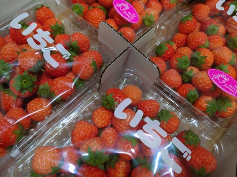 訳あり 小粒 高級いちご「桃薫」3000ｇ【トッピングなどに最適な小粒タイプ】 チルド ジャム用 加工用 イチゴ 苺 ジャム 加工 品種おまかせ 完熟 新鮮 お取り寄せ  自宅用 訳アリ わけあり